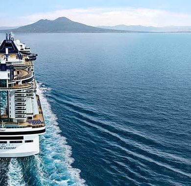 MSC Brod