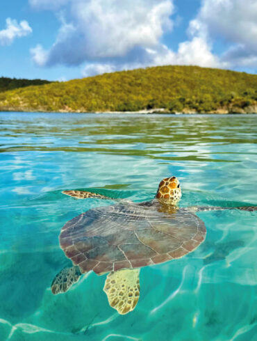 Tortola